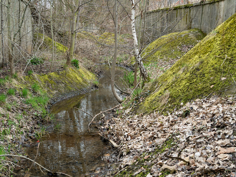 Betonrinne mit künstlichen Hindernissen aus Beton Betonrinne mit künstlichen Hindernissen aus Beton