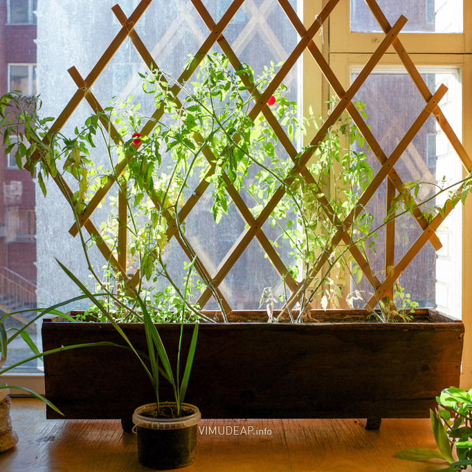 Bild 7025 Pyramiden (Piramida), Svalbard (Spitzbergen)