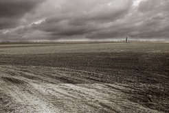 Feld in der Stolper Heide südlich von Hohen-Neuendorf (Bezirk Potsdam / DDR), im Hintergrund Grenzsperranlagen mit Wachturm nördlich der Neubrücker Straße in Reinickendorf (West-Berlin), 11.03.1990 Bild 6704