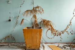 Bild 7927 Geisterstadt Prypjat (Atomkraftwerk Tschernobyl)