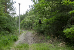 Bild 6874: Aussenanlagen: Gleisbett der kombinierten Eisenbahn- und Kfz-Zufahrt. Komplexlager 12 / Malachit Halberstadt