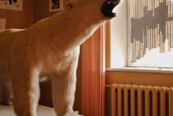 Bild 7095 Pyramiden (Piramida), Svalbard (Spitzbergen)